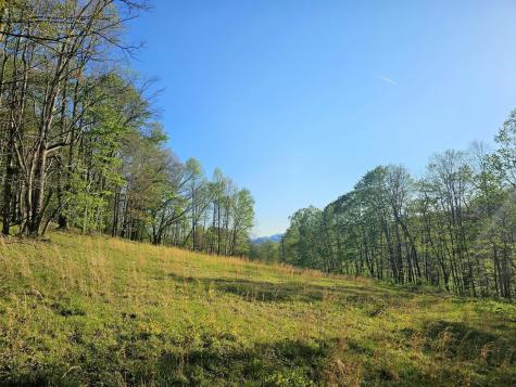 3 Isner Run Elkins WV 26241