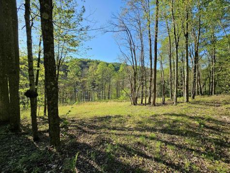 3 Isner Run Elkins WV 26241