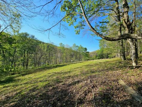 3 Isner Run Elkins WV 26241
