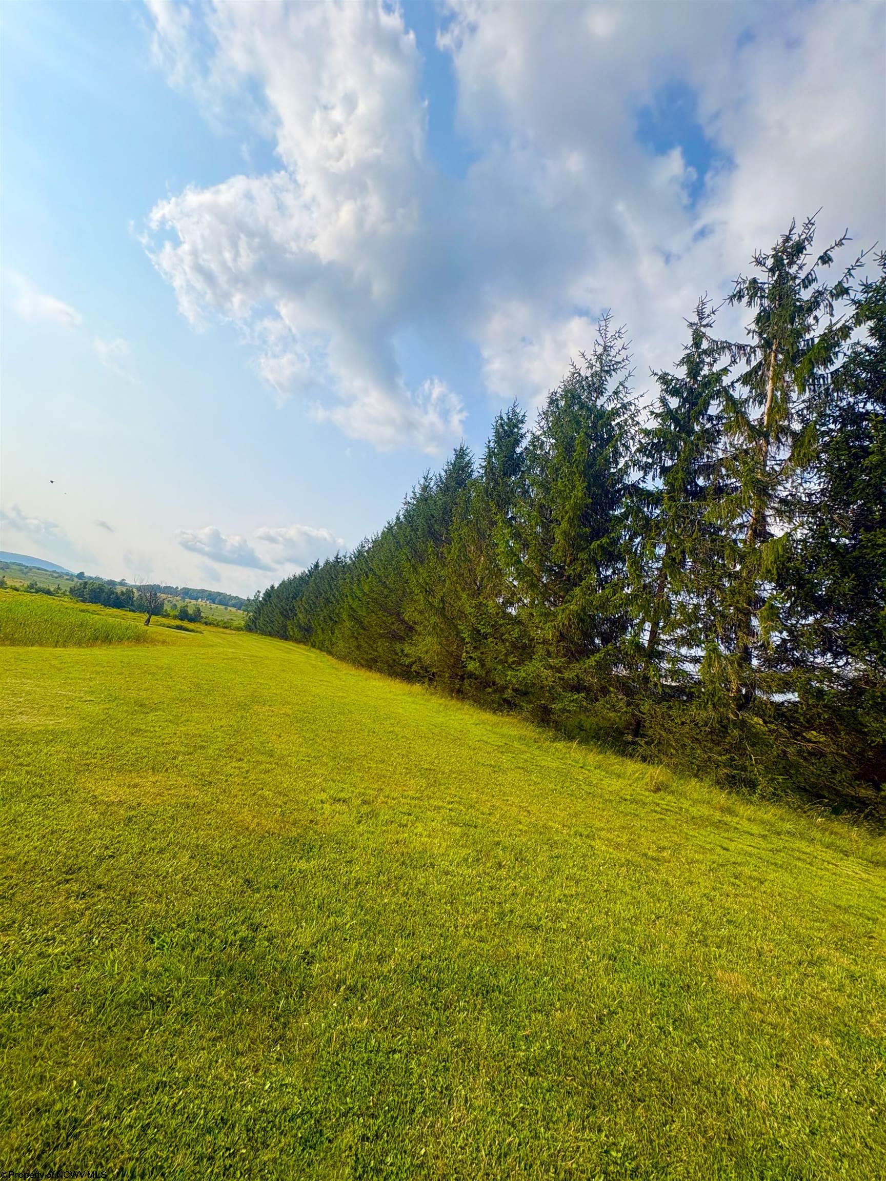 14 Katy Lane Davis WV 26260