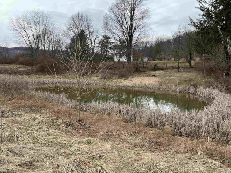41 Hayfield Loop Elkins WV 26241