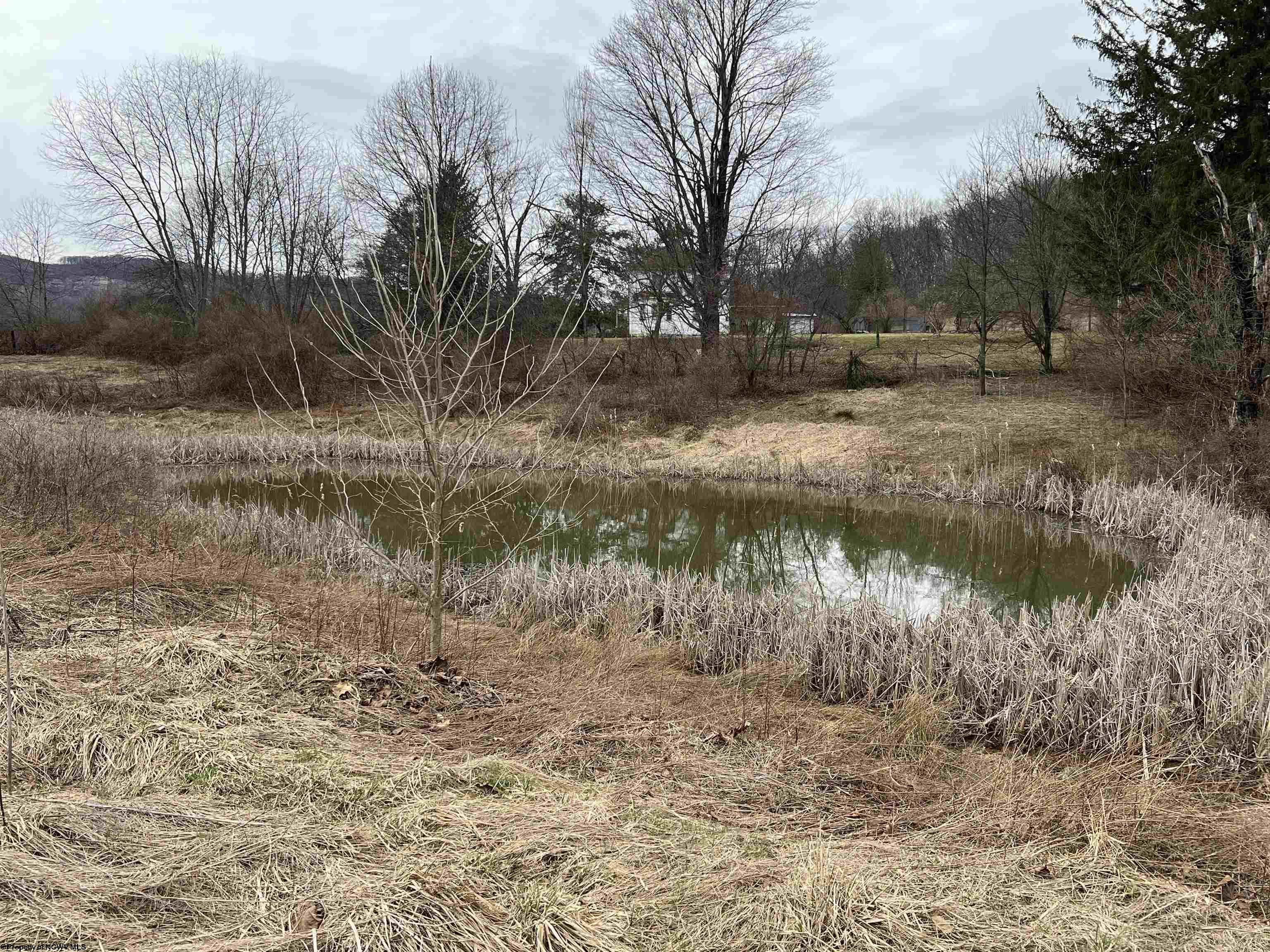 41 Hayfield Loop Elkins WV 26241