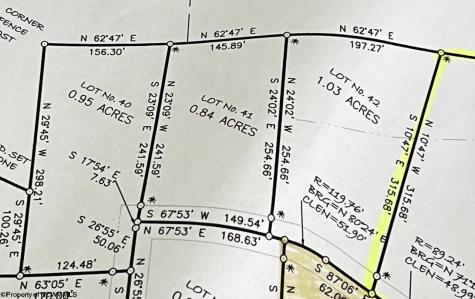 41 Hayfield Loop Elkins WV 26241