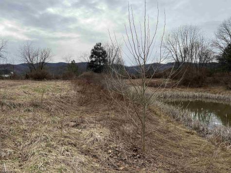 41 Hayfield Loop Elkins WV 26241