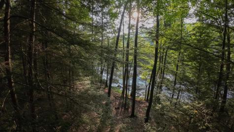 0 Rising Sun Lane Bruceton Mills WV 26525