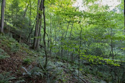 0 Rising Sun Lane Bruceton Mills WV 26525