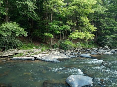 0 Rising Sun Lane Bruceton Mills WV 26525