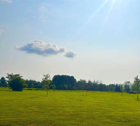Lot 20 Katy Lane Davis WV 26260