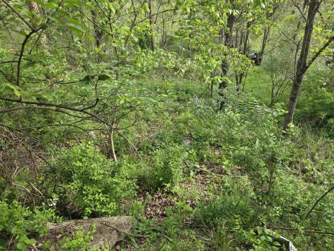 0 Dupont Road Westover WV 26501