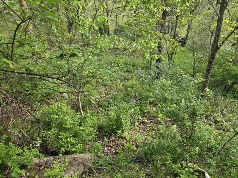 0 Dupont Road Westover WV 26501