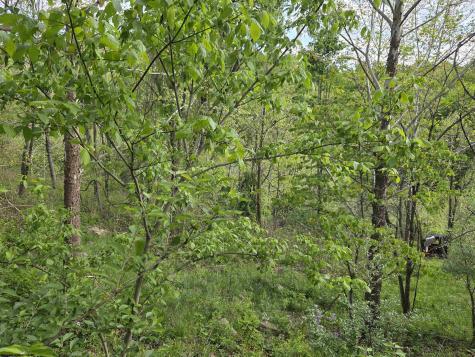 0 Dupont Road Westover WV 26501