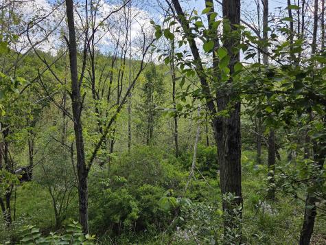 0 Dupont Road Westover WV 26501