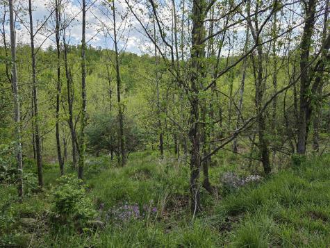 0 Dupont Road Westover WV 26501
