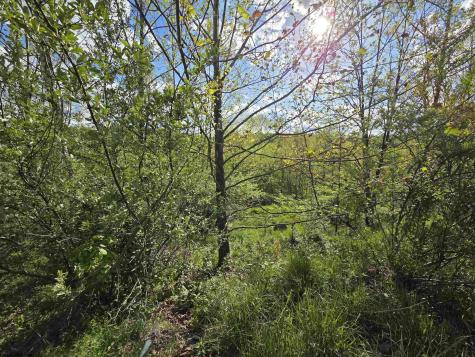 0 Dupont Road Westover WV 26501