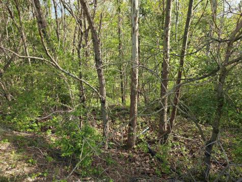 0 Dupont Road Westover WV 26501