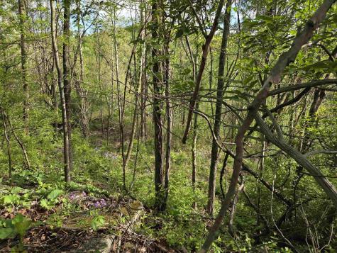 0 Dupont Road Westover WV 26501