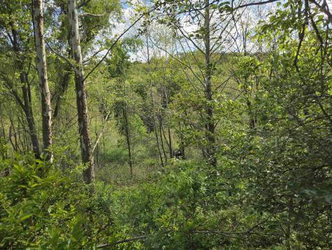 0 Dupont Road Westover WV 26501