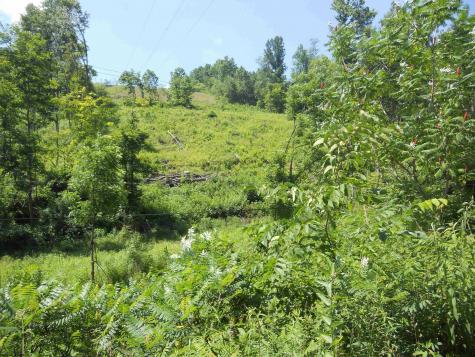 595 Wades Run And Bowlby Road Morgantown WV 26501