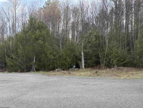 83 Gondola Court Davis WV 26260