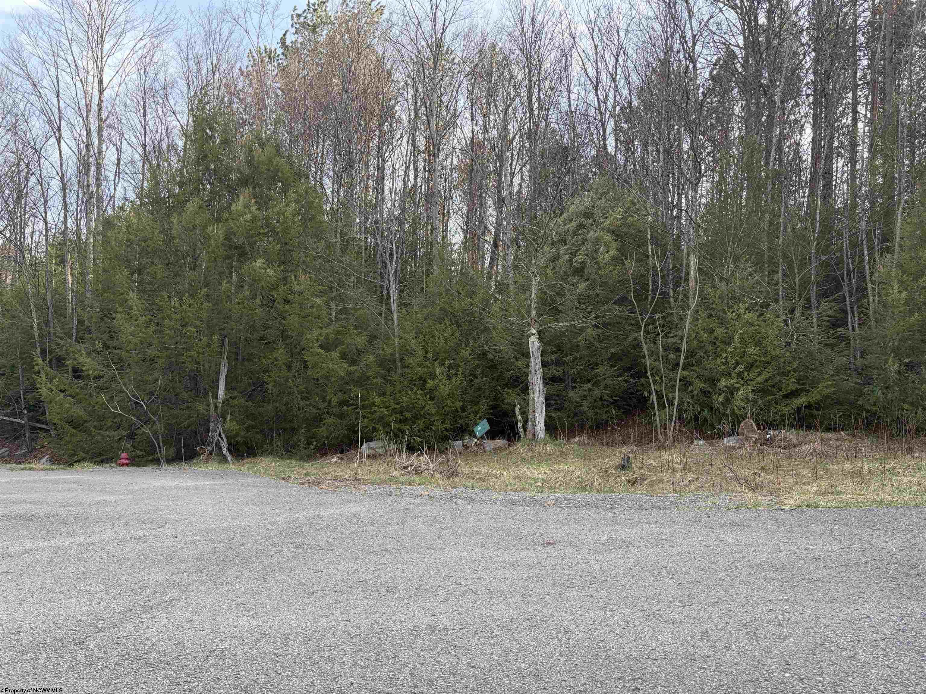 83 Gondola Court Davis WV 26260