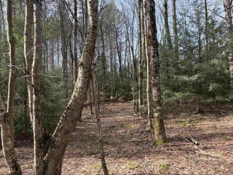 83 Gondola Court Davis WV 26260