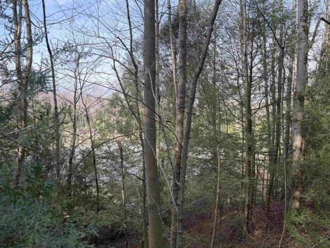 83 Gondola Court Davis WV 26260