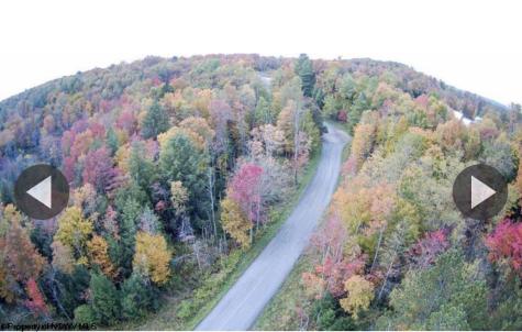 83 Gondola Court Davis WV 26260