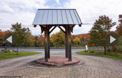 83 Gondola Court Davis WV 26260