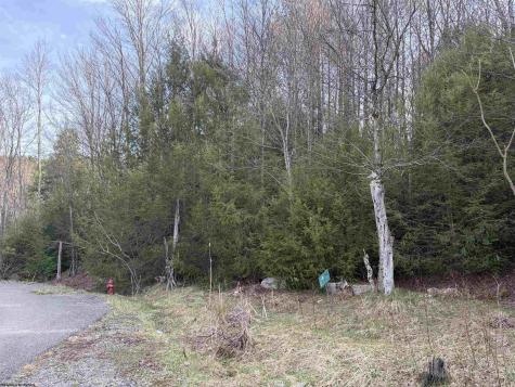 83 Gondola Court Davis WV 26260