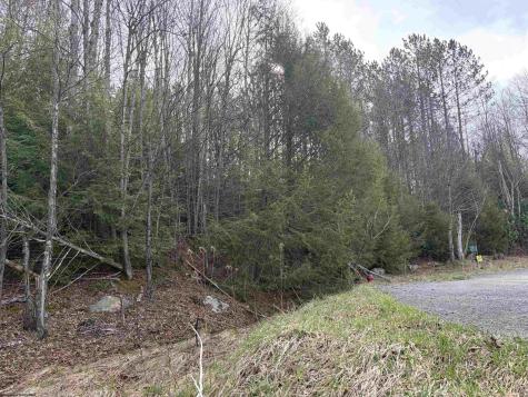 83 Gondola Court Davis WV 26260