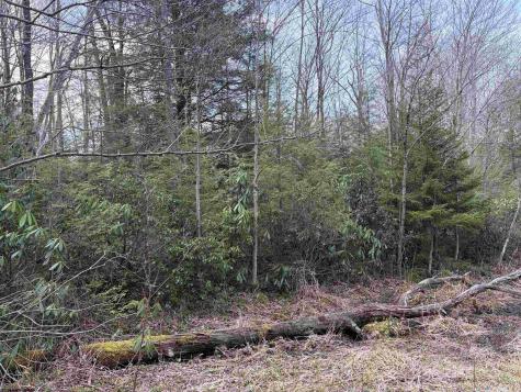 83 Gondola Court Davis WV 26260