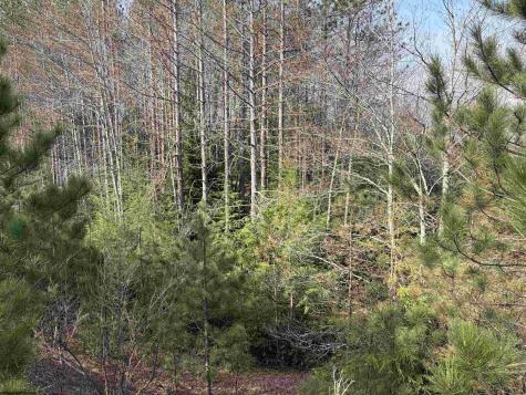 83 Gondola Court Davis WV 26260