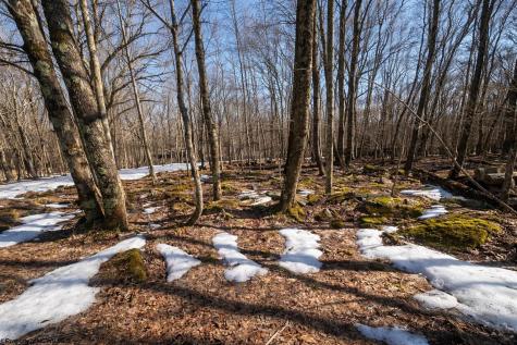 0 E Alpine Drive Terra Alta WV 26764