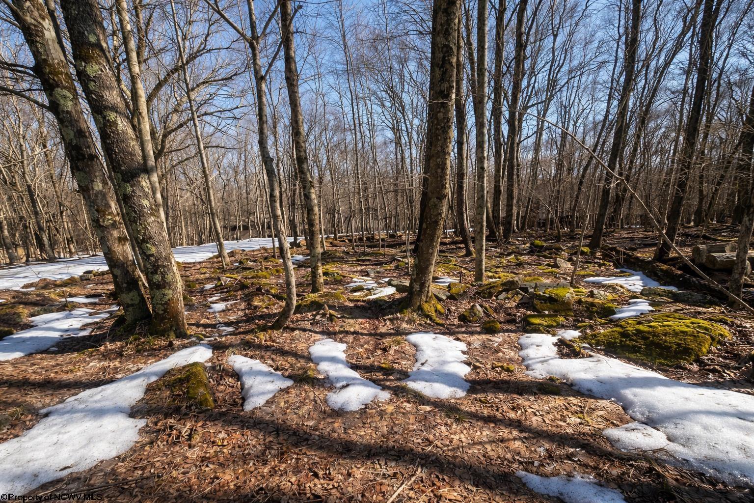0 E Alpine Drive Terra Alta WV 26764