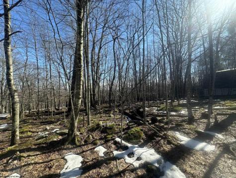 0 E Alpine Drive Terra Alta WV 26764