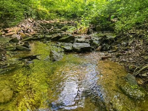 0 Rush Run Road Fairview WV 26570