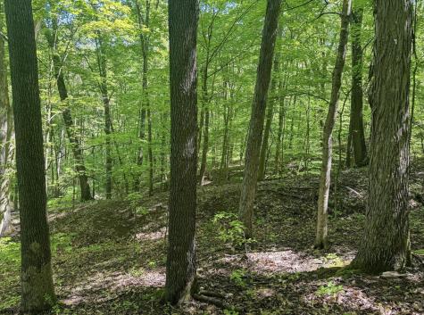 0 Rush Run Road Fairview WV 26570