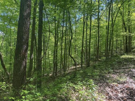 0 Rush Run Road Fairview WV 26570