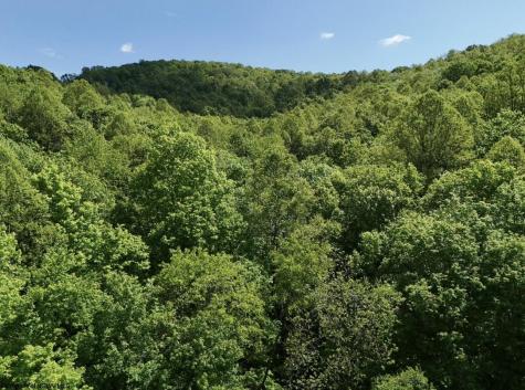 0 Rush Run Road Fairview WV 26570