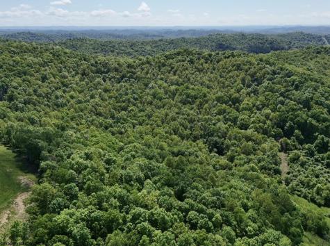 0 Rush Run Road Fairview WV 26570