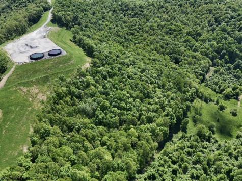 0 Rush Run Road Fairview WV 26570