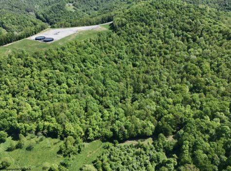 0 Rush Run Road Fairview WV 26570