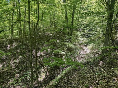 0 Rush Run Road Fairview WV 26570