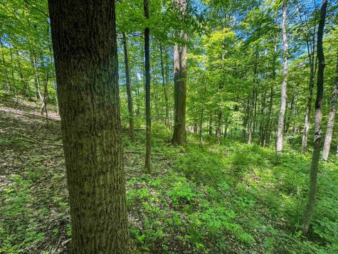 0 Rush Run Road Fairview WV 26570