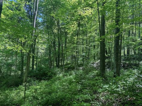 0 Rush Run Road Fairview WV 26570