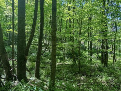 0 Rush Run Road Fairview WV 26570