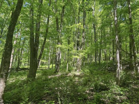 0 Rush Run Road Fairview WV 26570