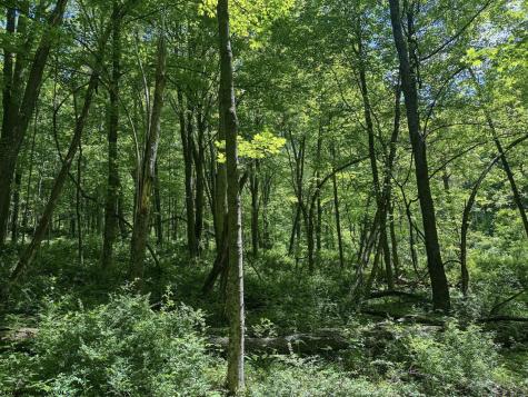 0 Rush Run Road Fairview WV 26570