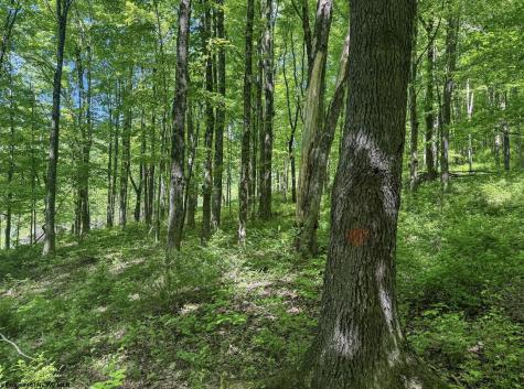 0 Rush Run Road Fairview WV 26570