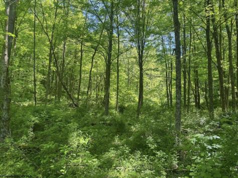 0 Rush Run Road Fairview WV 26570